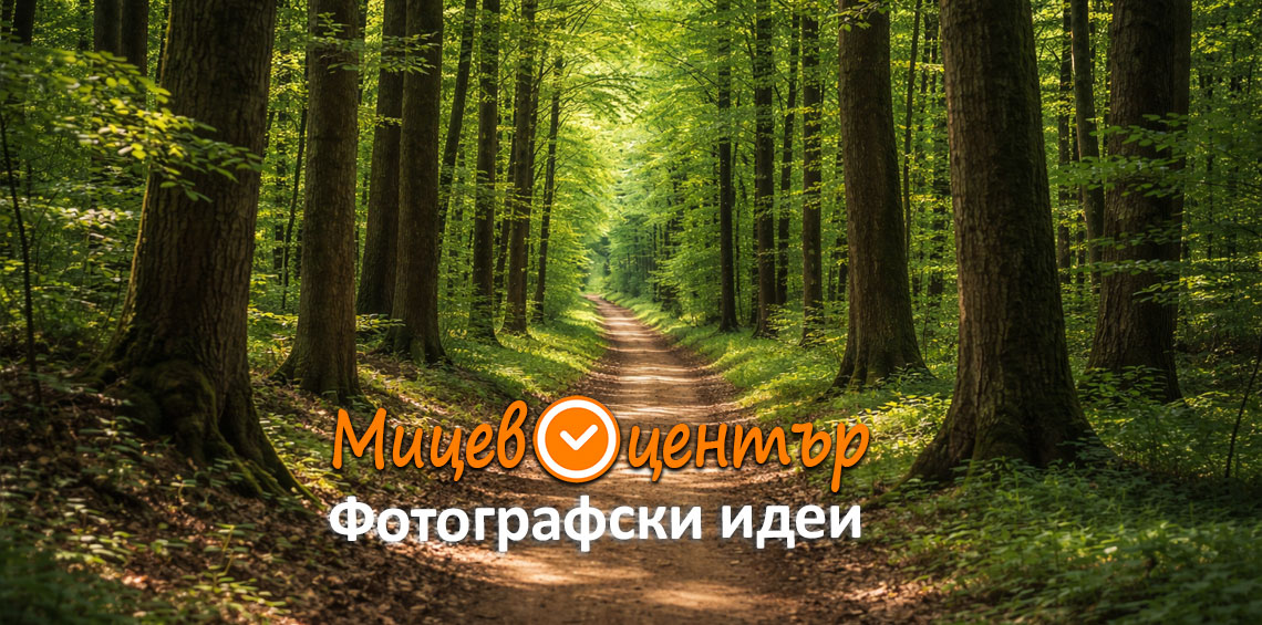 Курс Фотография за начинаещи в Пловдив