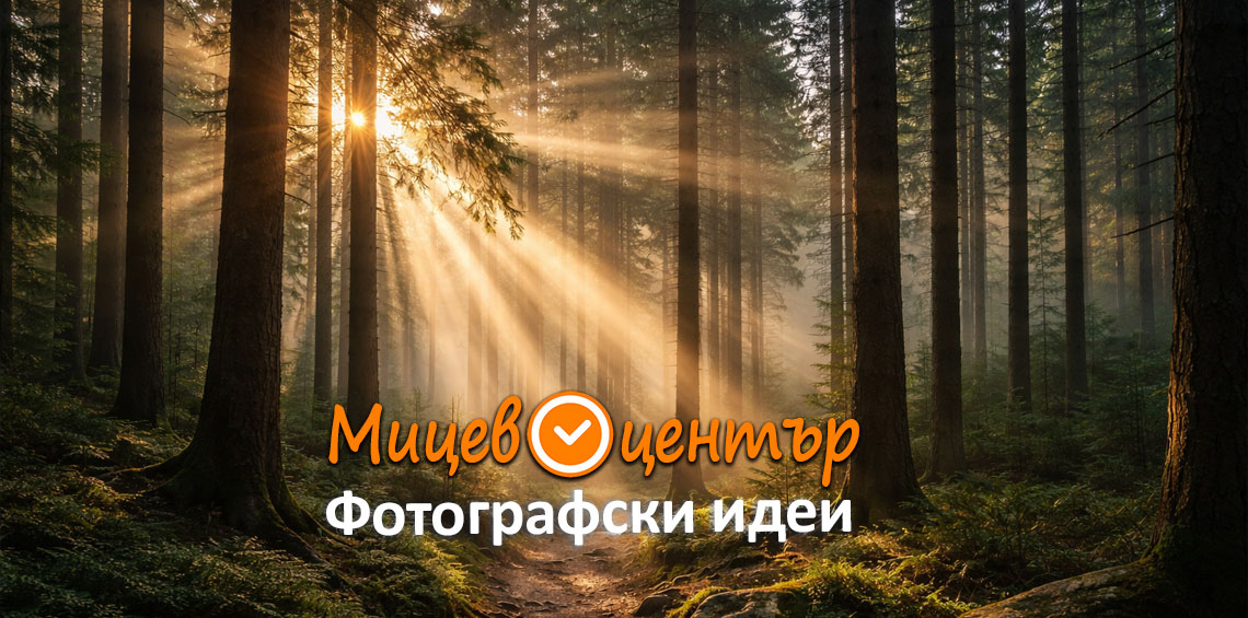 Курс Фотография за начинаещи в Пловдив