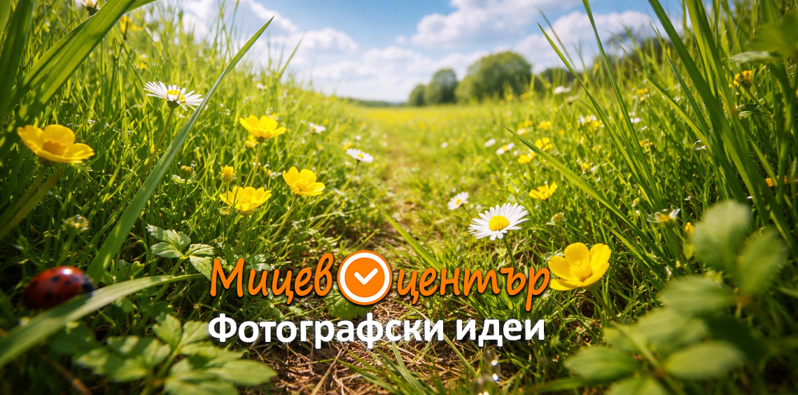 Курс Фотография за начинаещи в Пловдив