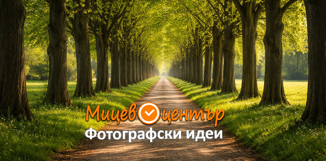 Курс Фотография за начинаещи в Пловдив