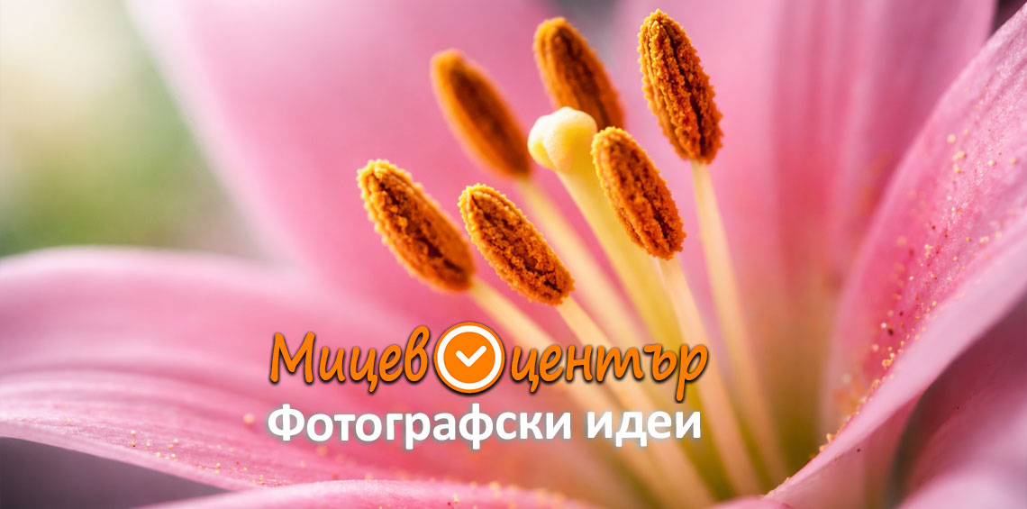 Курс Фотография за начинаещи в Пловдив