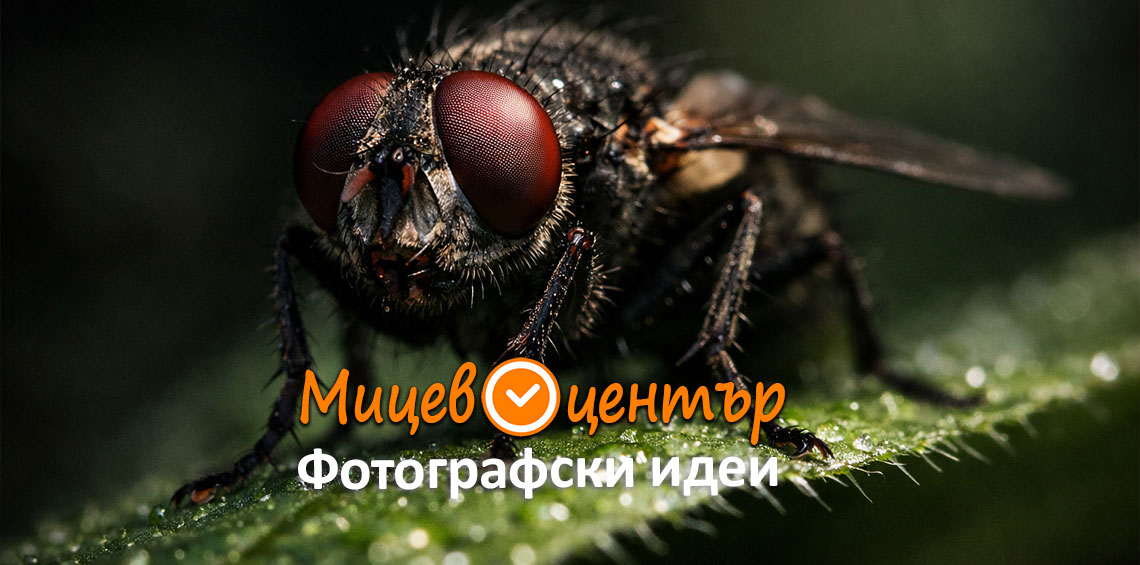 Курс Фотография за начинаещи в Пловдив
