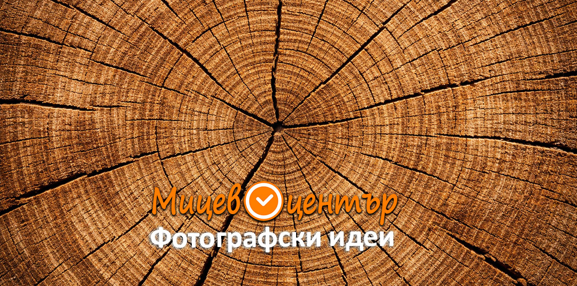 Курс Фотография за начинаещи в Пловдив