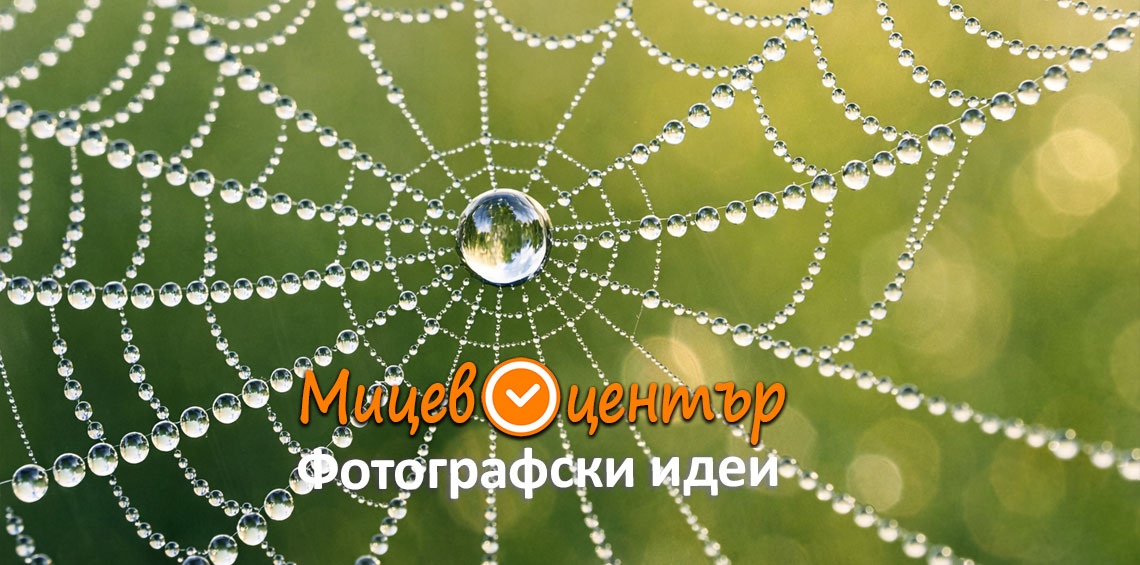 Курс Фотография за начинаещи в Пловдив