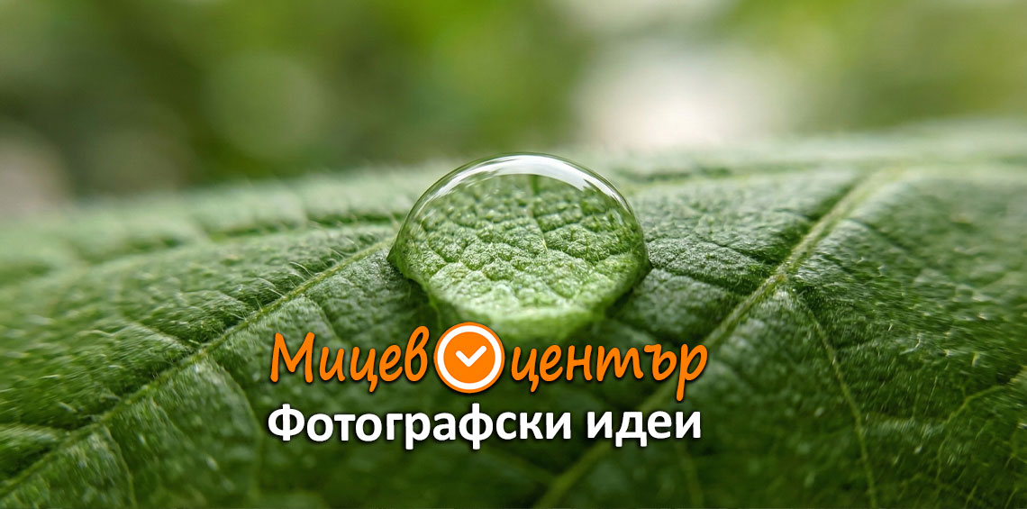 Курс Фотография за начинаещи в Пловдив